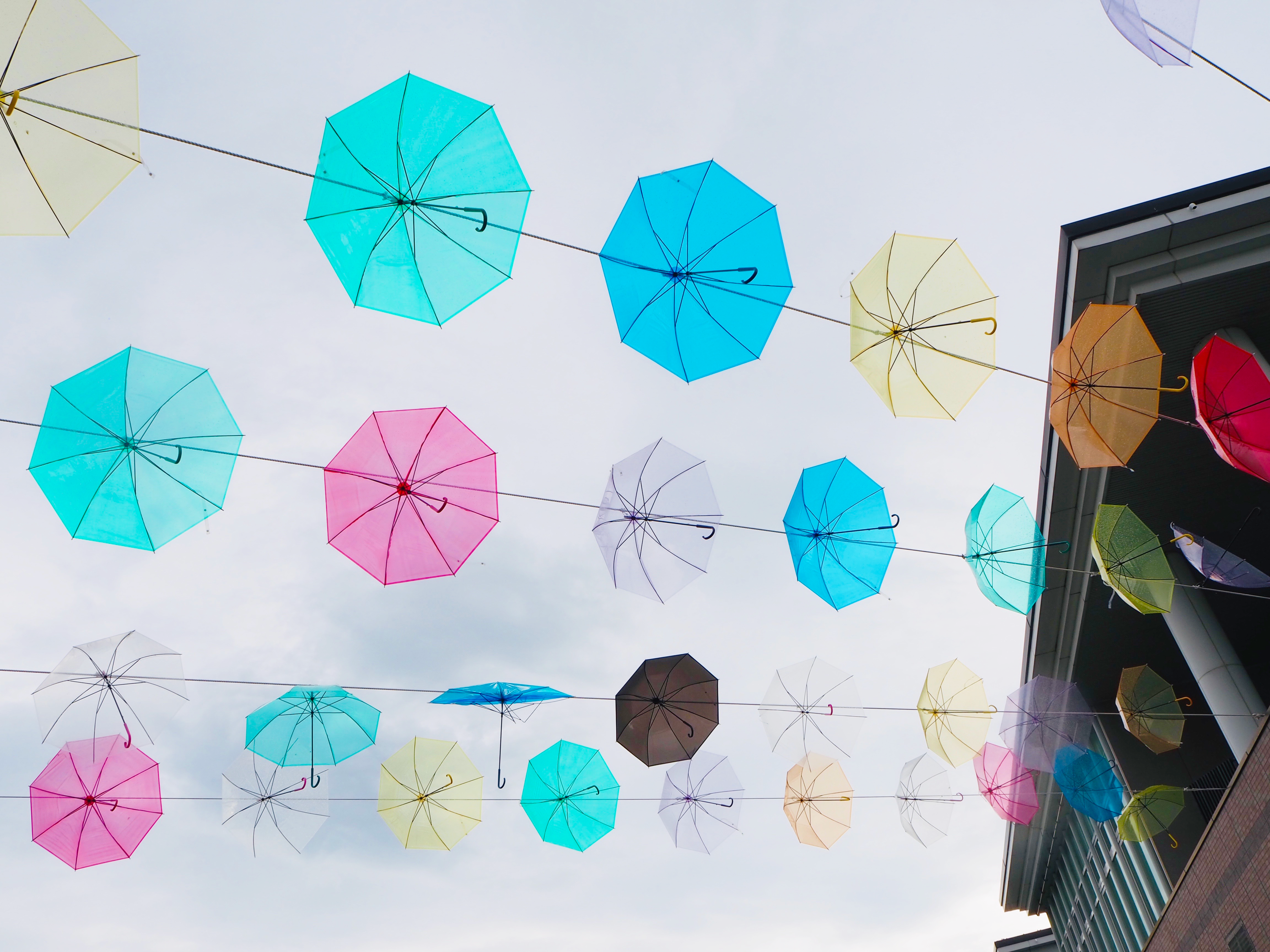 淡路島国営明石海峡公園のれいんぼーあんぶれら